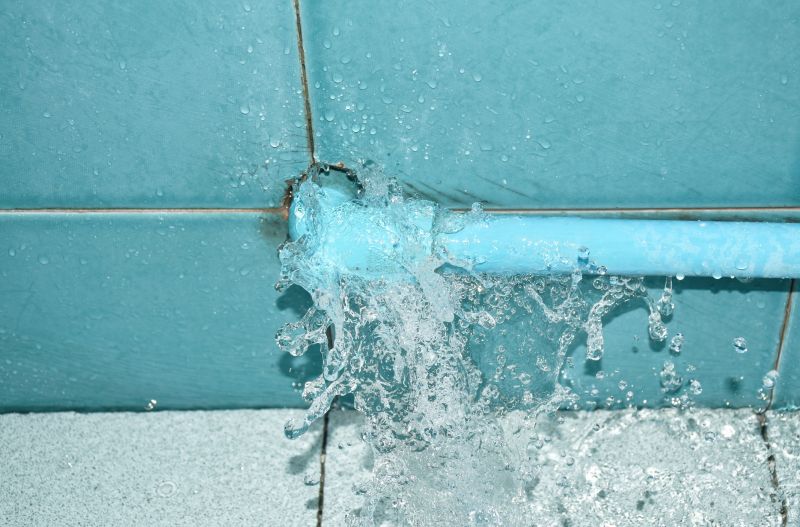 Signs A Broken Drain Line May Be Causing Plumbing Problems